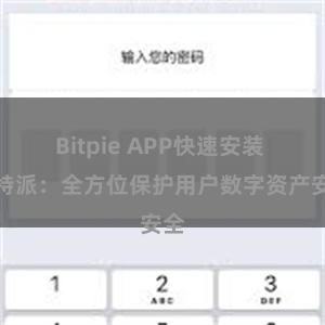 Bitpie APP快速安装 比特派：全方位保护用户数字资产安全