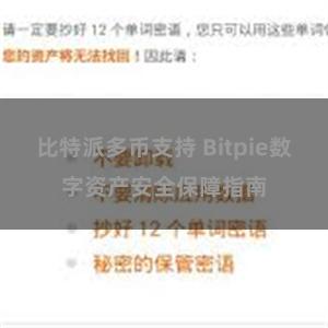 比特派多币支持 Bitpie数字资产安全保障指南