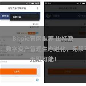 Bitpie官网推荐 比特派钱包：数字资产管理生态进化，无限可能！