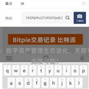 Bitpie交易记录 比特派钱包：数字资产管理生态进化，无限可能！