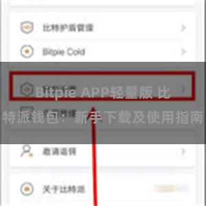 Bitpie APP轻量版 比特派钱包：新手下载及使用指南