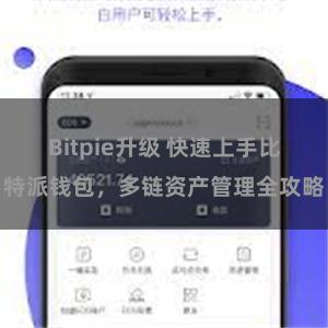 Bitpie升级 快速上手比特派钱包，多链资产管理全攻略