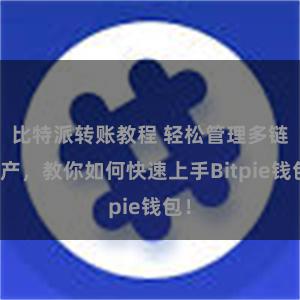 比特派转账教程 轻松管理多链资产，教你如何快速上手Bitpie钱包！