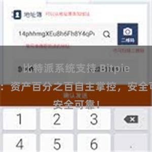 比特派系统支持 Bitpie钱包：资产百分之百自主掌控，安全可靠！