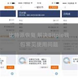 比特派恢复 解决Bitpie钱包常见使用问题