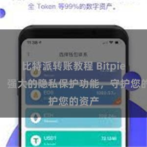 比特派转账教程 Bitpie钱包：强大的隐私保护功能，守护您的资产