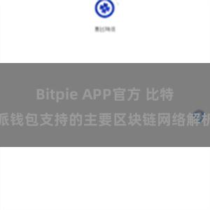 Bitpie APP官方 比特派钱包支持的主要区块链网络解析