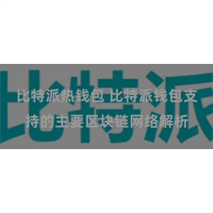 比特派热钱包 比特派钱包支持的主要区块链网络解析