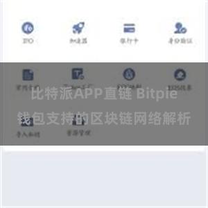 比特派APP直链 Bitpie钱包支持的区块链网络解析