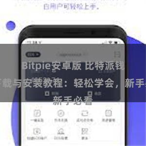 Bitpie安卓版 比特派钱包下载与安装教程：轻松学会，新手必看