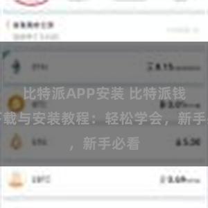 比特派APP安装 比特派钱包下载与安装教程：轻松学会，新手必看