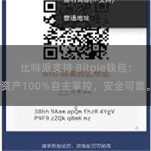 比特派支持 Bitpie钱包：资产100%自主掌控，安全可靠。