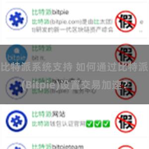 比特派系统支持 如何通过比特派(Bitpie)设置交易加速？