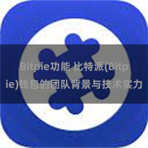 Bitpie功能 比特派(Bitpie)钱包的团队背景与技术实力