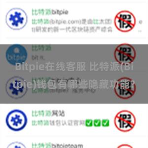 Bitpie在线客服 比特派(Bitpie)钱包有哪些隐藏功能？