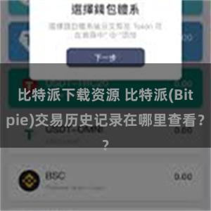 比特派下载资源 比特派(Bitpie)交易历史记录在哪里查看？