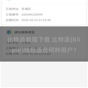 比特派教程下载 比特派(Bitpie)钱包适合何种用户？