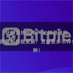 比特派钱包用户 比特派钱包的最新功能更新：支持更多币种！
