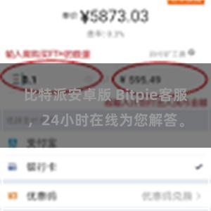 比特派安卓版 Bitpie客服，24小时在线为您解答。