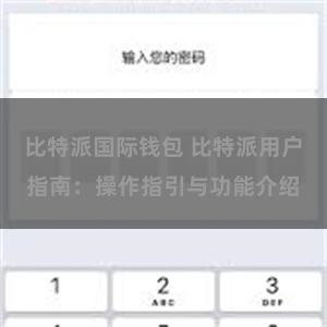 比特派国际钱包 比特派用户指南：操作指引与功能介绍