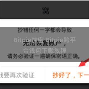Bitpie加密 Bitpie跨平台钱包下载教程