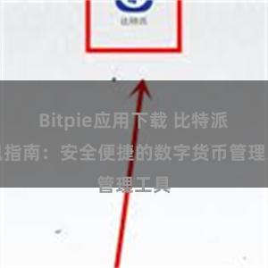 Bitpie应用下载 比特派钱包指南：安全便捷的数字货币管理工具