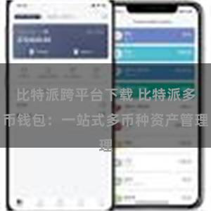 比特派跨平台下载 比特派多币钱包：一站式多币种资产管理
