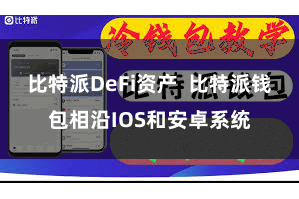 比特派DeFi资产 比特派钱包相沿IOS和安卓系统